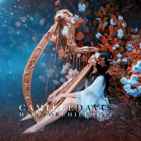 Drunk In Love (Harp Version)