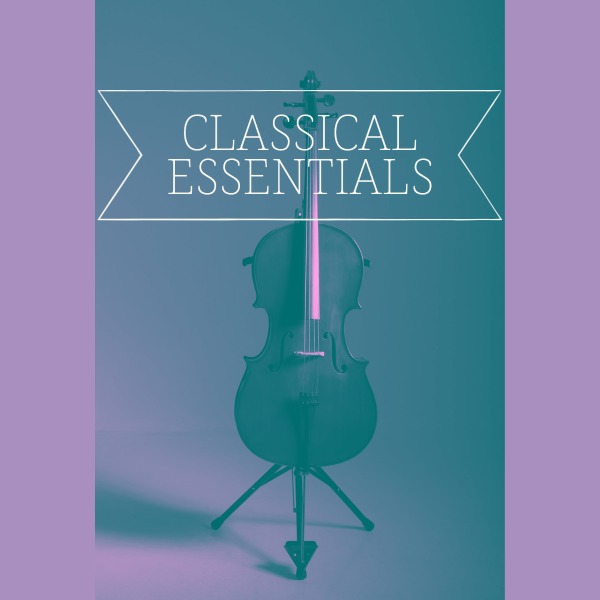 Prokofiev: Violin Concerto No. 2, Andante