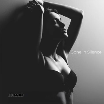 Gone In Silence